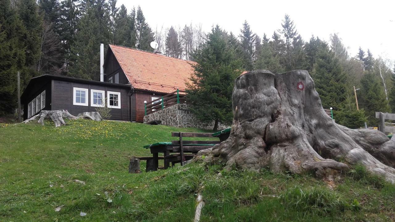 Bolfenk Apartment Hocko Pohorje Exterior photo